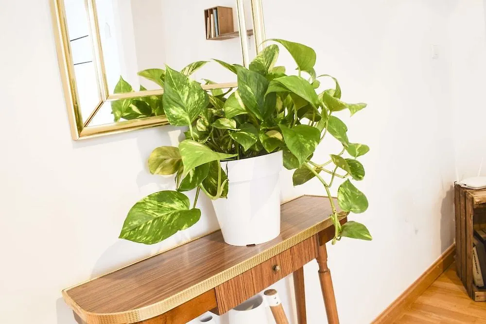 Letmalaga Carreteria Apartment